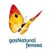 Gas Natural Fenosa Logo