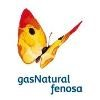 Gas Natural SDG Logo