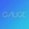 Gauge Insights Logo