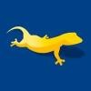 Gecko Designs Logo
