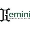 Gemini Diversified Services Logo