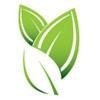 Genesis Consulting Logo