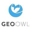 Geo Owl Logo