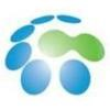 Geolink Satellite Services Logo