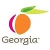 Georgia State Government Logo