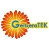 Gerbera Technologies Logo