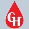 GH Berlin Windward Logo
