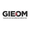 GIEOM Business Solution Logo