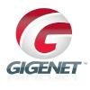 GigeNET Logo