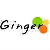 Ginger Webs Logo