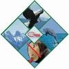 Global Environmental Network Logo