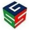 Global Soft Systems Logo