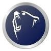 Golden Bear Cabinetry Logo