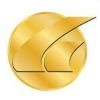 Golden Technologies Logo