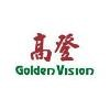 Golden Vision Logo