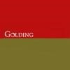 Golding Capital Partners Logo