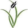 Good Harvest Market Logo