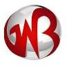 Gowebbaby Logo