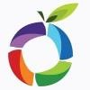Grapelime Infotech Logo