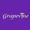Grapevine Internal Medicine Center Logo