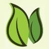 Green Market Cafe Logo