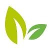 Green Roads Logo