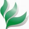 Greencore Logo