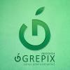 Grepix Infotech Logo