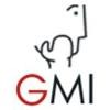 Grey Matter India Logo