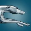 Greyhound Canada Logo