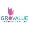 Grovalue Securities Logo