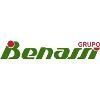Grupo Benassi Logo
