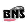 Grupo BNS Logo