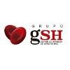 Grupo GSH Logo