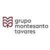 Grupo Montesanto Tavares Logo