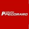 Grupo Pegoraro Logo