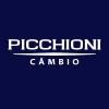 Grupo Picchioni Logo