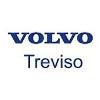 Grupo Treviso Logo