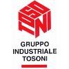 Gruppo industriale Tosoni Logo