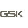 GSK STOCKMANN & KOLLEGEN Logo