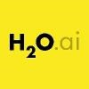 H2O Logo