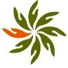 Hale Makua Health Services Logo
