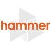 Hammer plc Logo