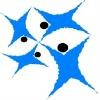 Harlem Link Charter School Logo