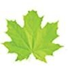Harvest Futures Consultants India Logo