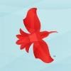 Hawaii Island Air Logo