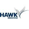 Hawk Auto Logo