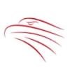 HAWK-EYE Technical Services Logo