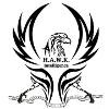 Hawk Intelligence Logo