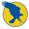 Hawk Security Services Logo